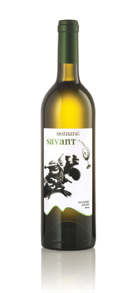 savant_foto_boca_site